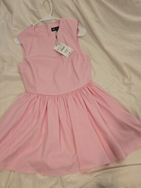 Zara Light Pink Sleeveless Fit-and-Flare Dress